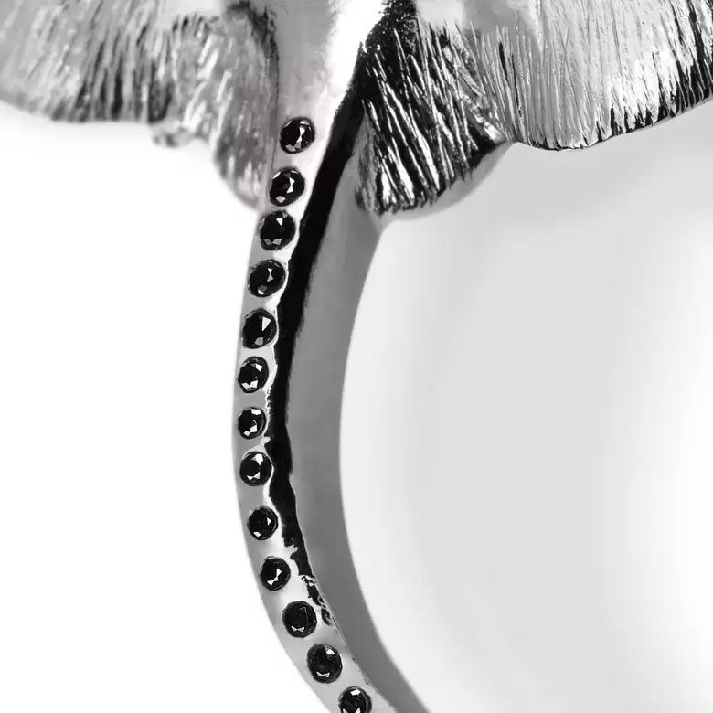 7658_main_1684341384