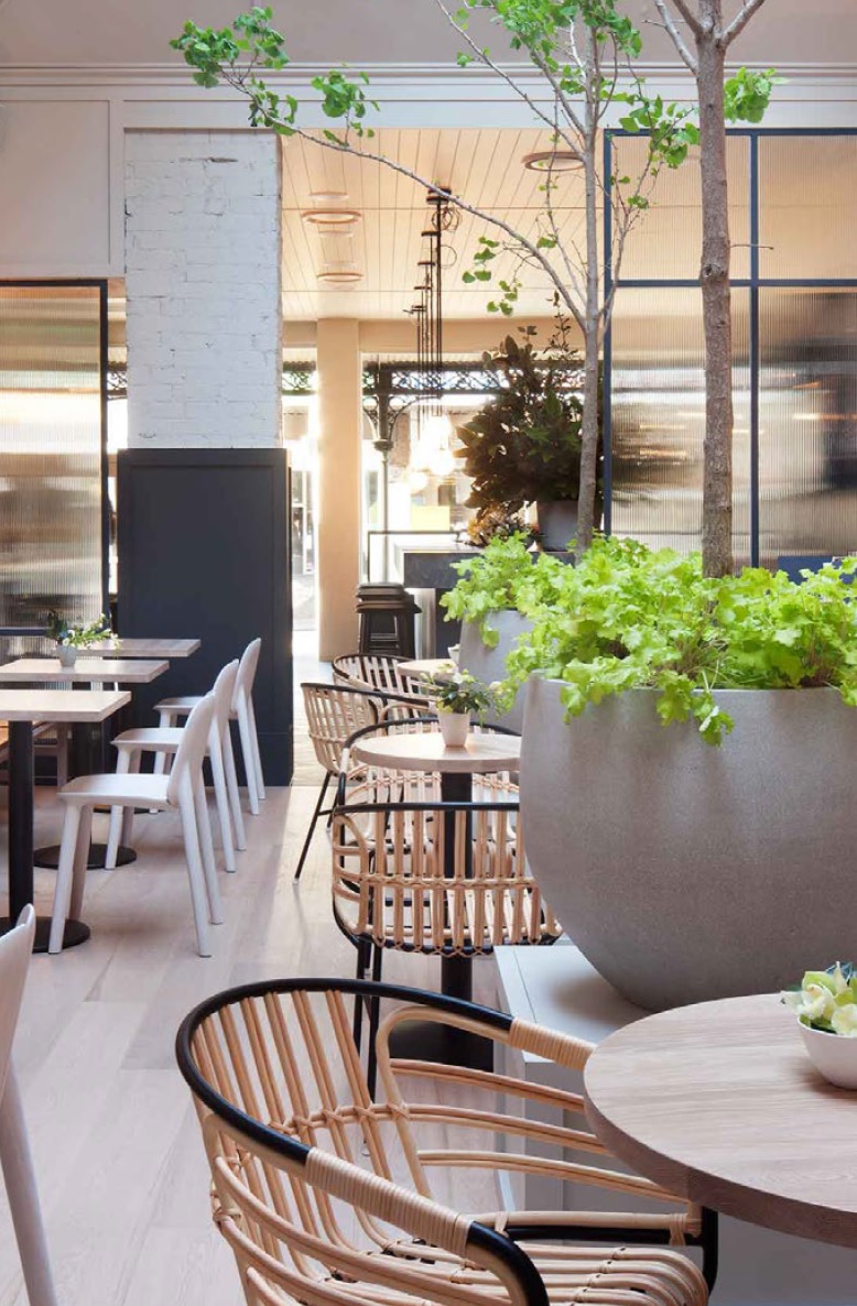 the-ugly-duckling-wine-bar-casamania-horm-Raphia-Rattan